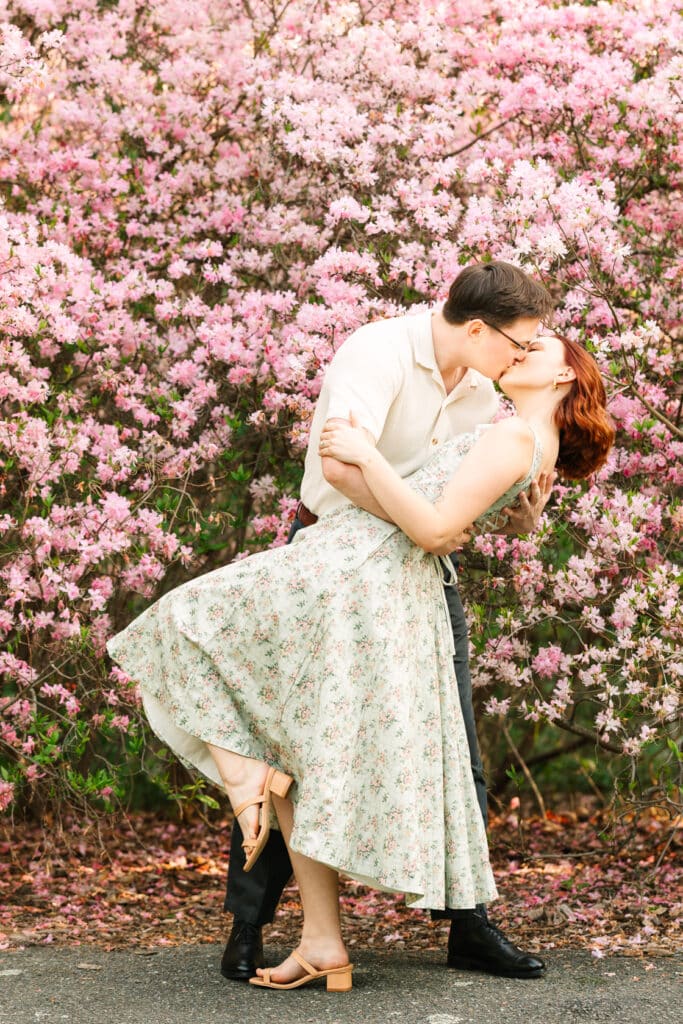 Arnold Arboretum Engagement Photographer