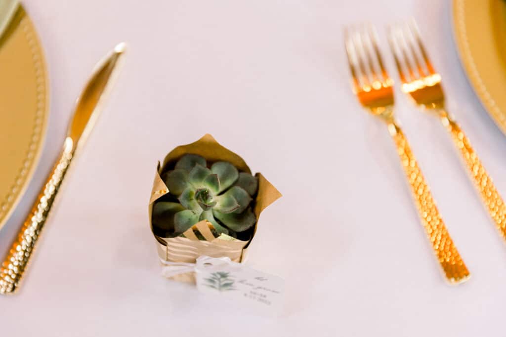 mohawk falls wedding guest favor