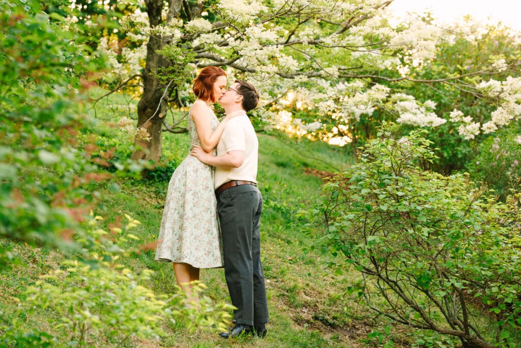 Arnold Arboretum Boston Proposal