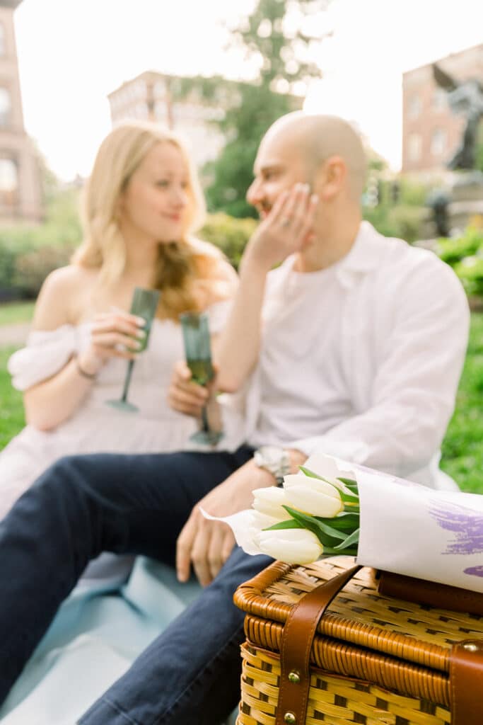 Boston Public Garden Engagement Picnic