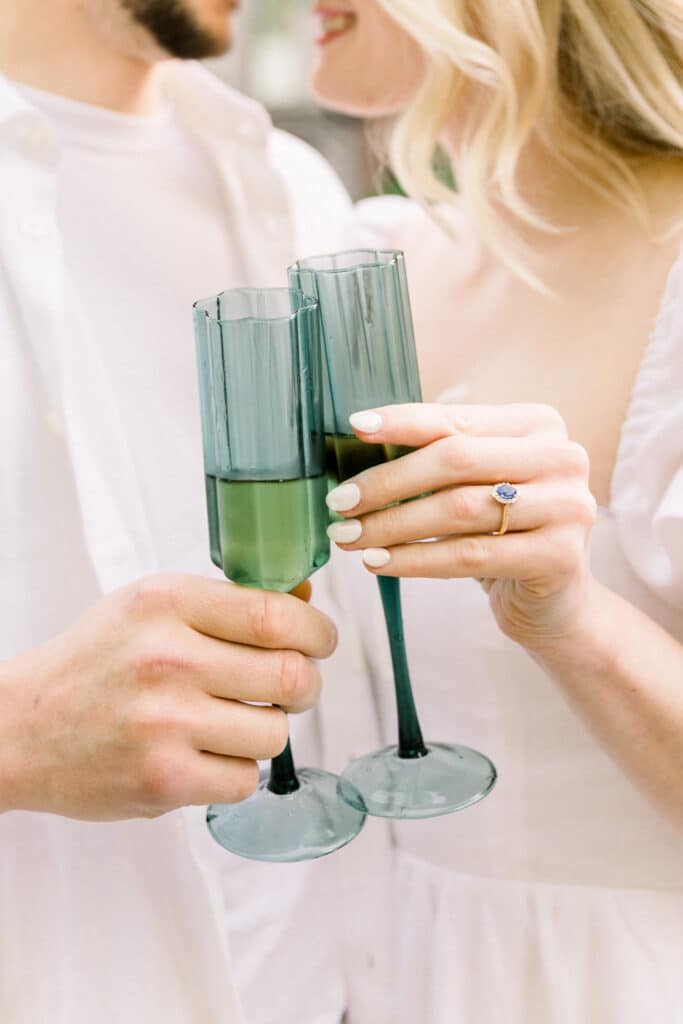 Picnic Engagement Session