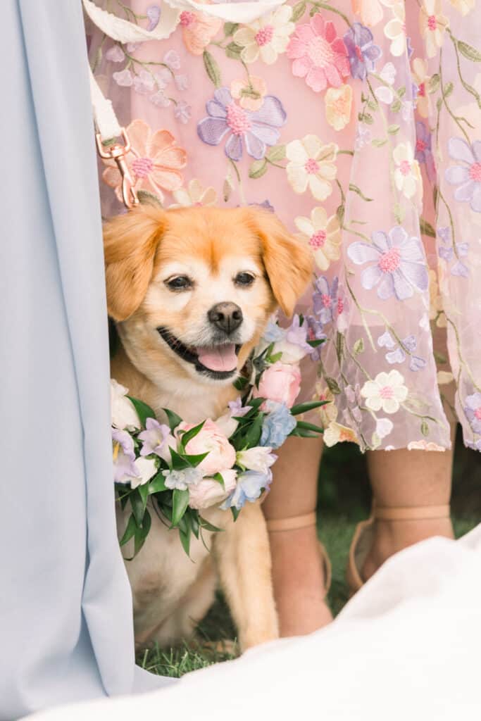 Wedding Flower Puppy