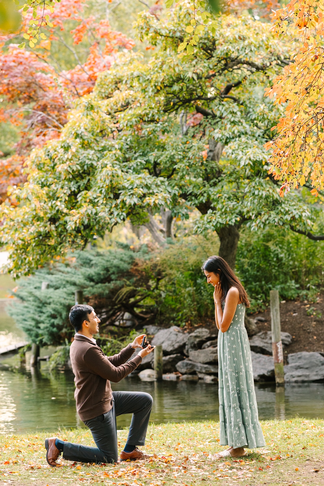 Boston Public Garden Fall Proposal