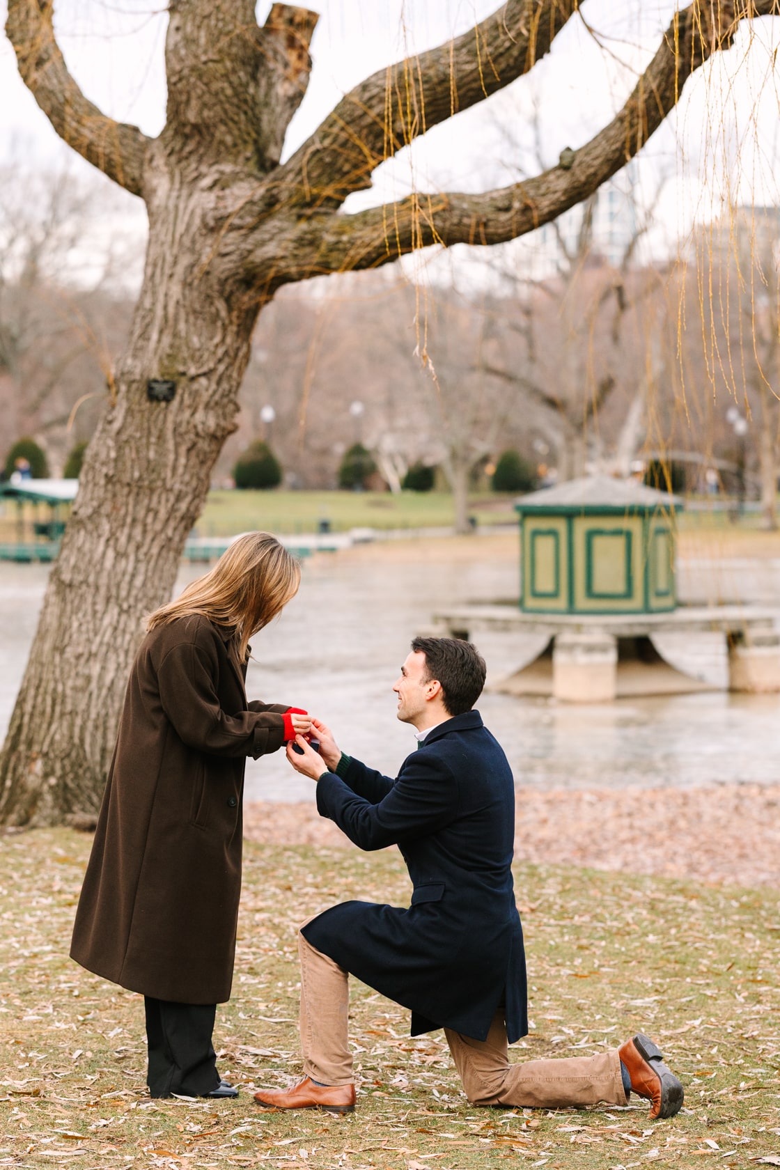 Boston Public Garden Proposal