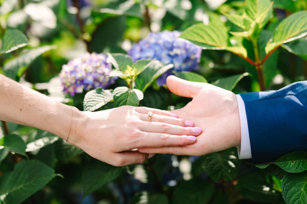 Cape Cod Hydrangea Engagement Photo