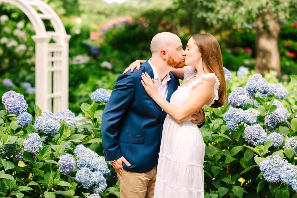 Cape Cod Hydrangea Festival Photos